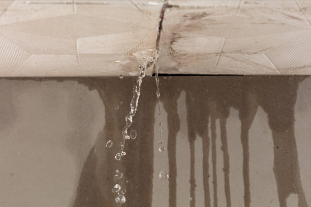 Professional Structural Drying technician working in Granville, WV